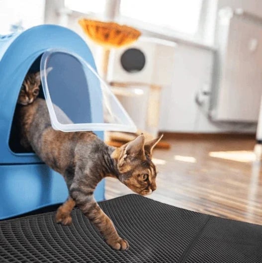 Premium Cat Litter Mat Non-Slip Double Layer Honeycomb Design Easy Clean Trapper - Image 10